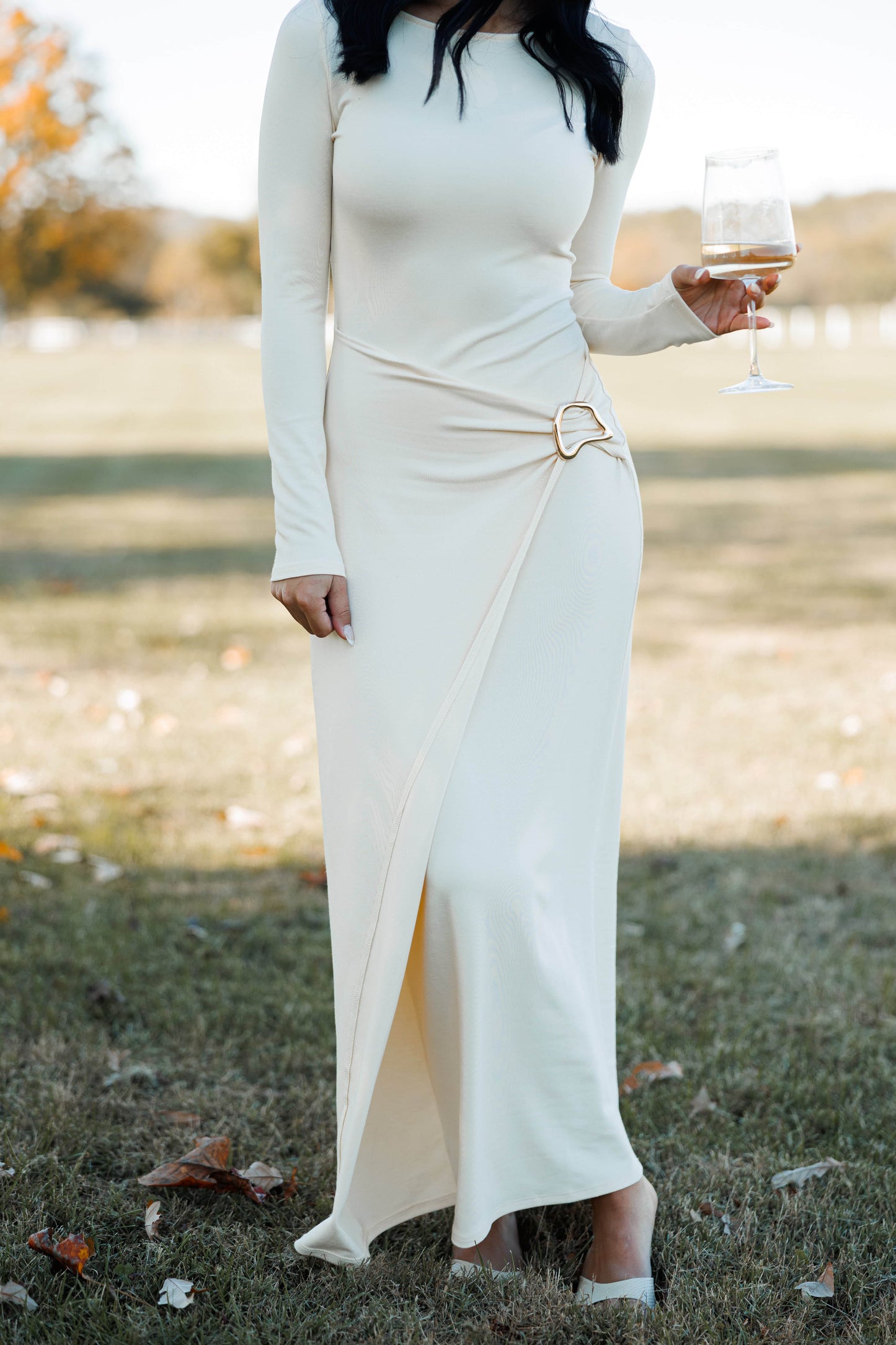 Estate Dinner Maxi Dress