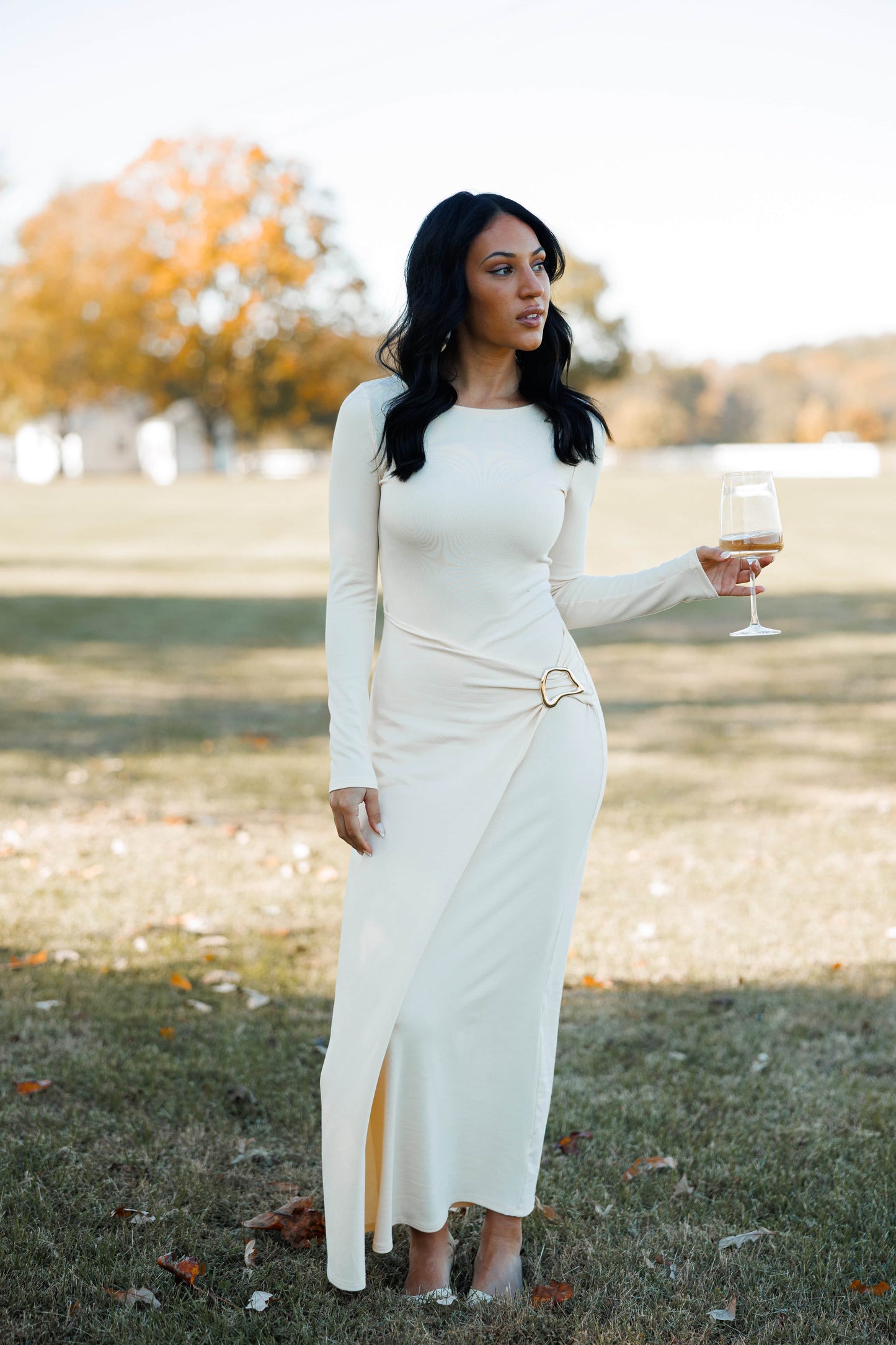 Estate Dinner Maxi Dress