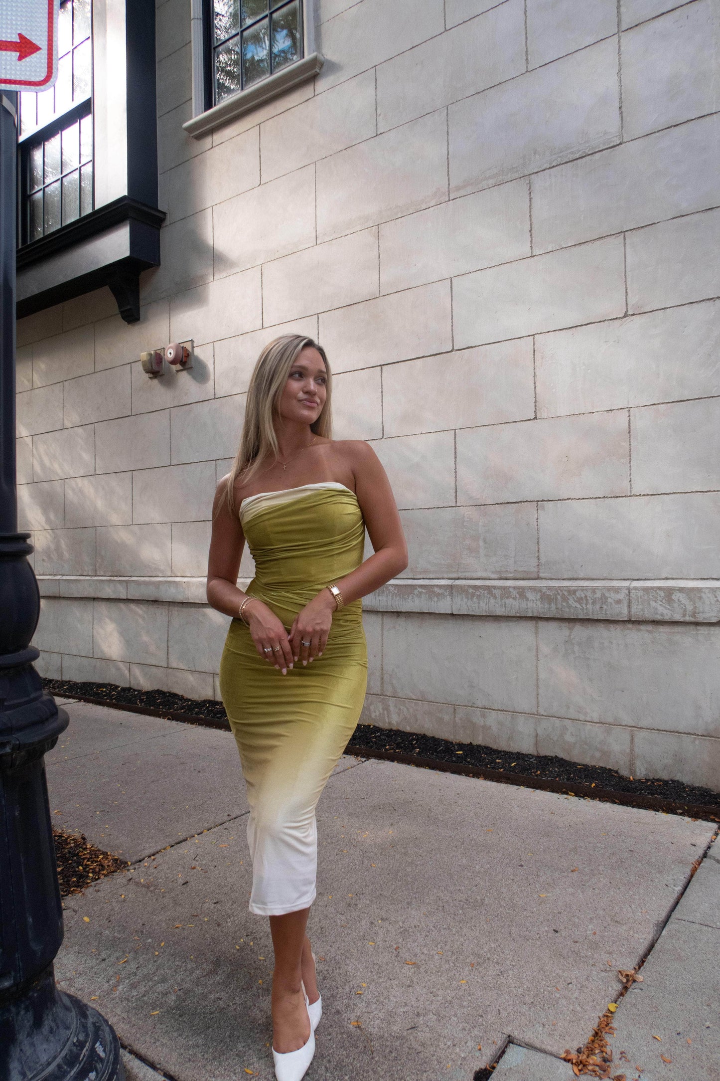 Evening Pour Velvet Dress