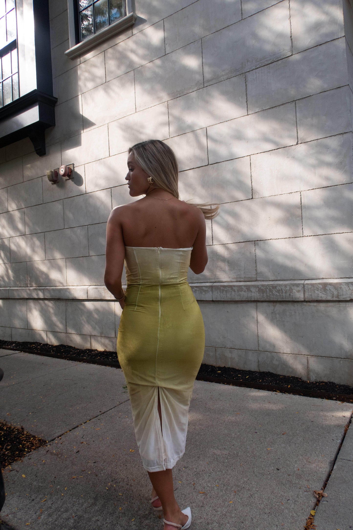 Evening Pour Velvet Dress