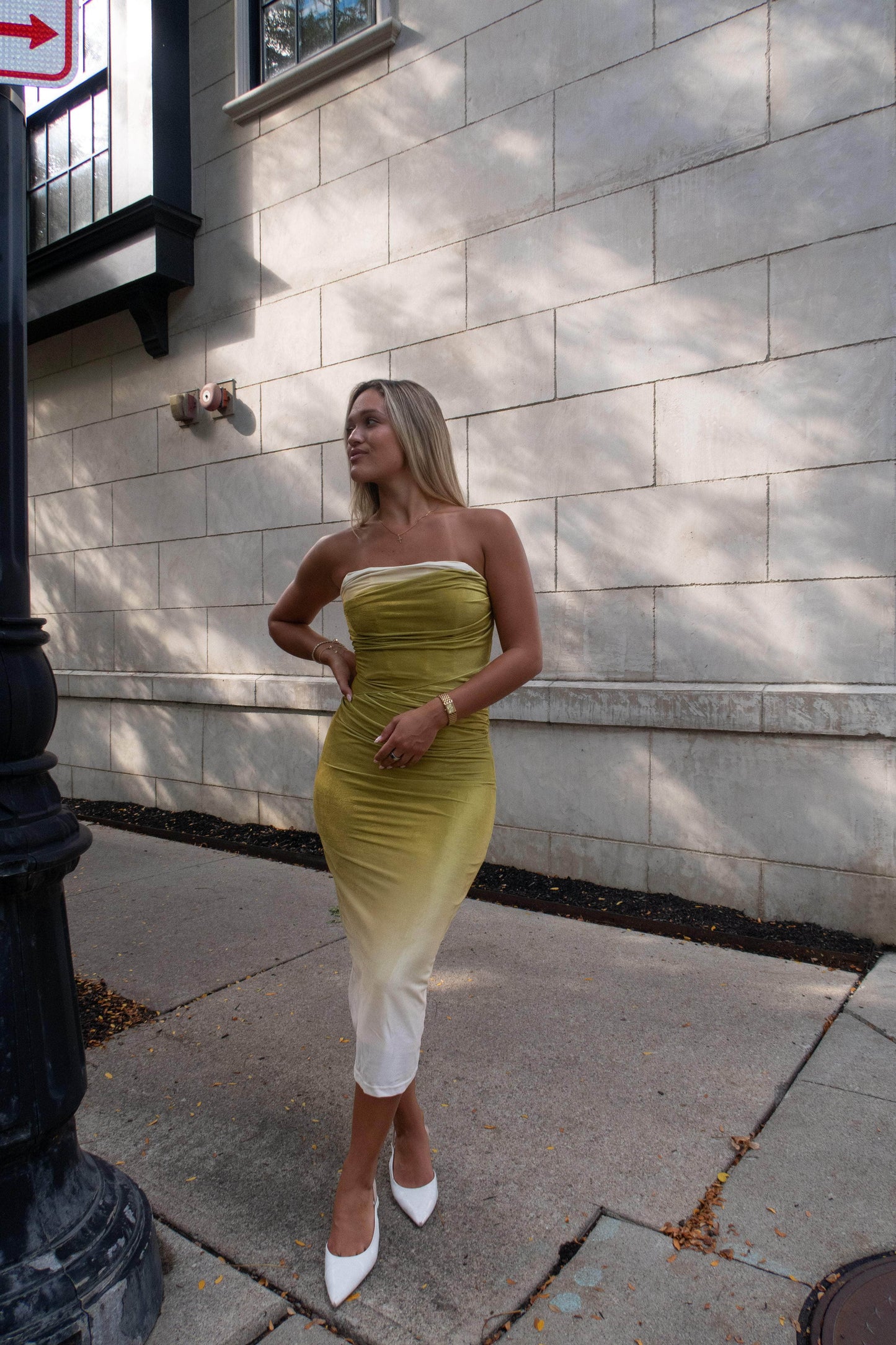 Evening Pour Velvet Dress