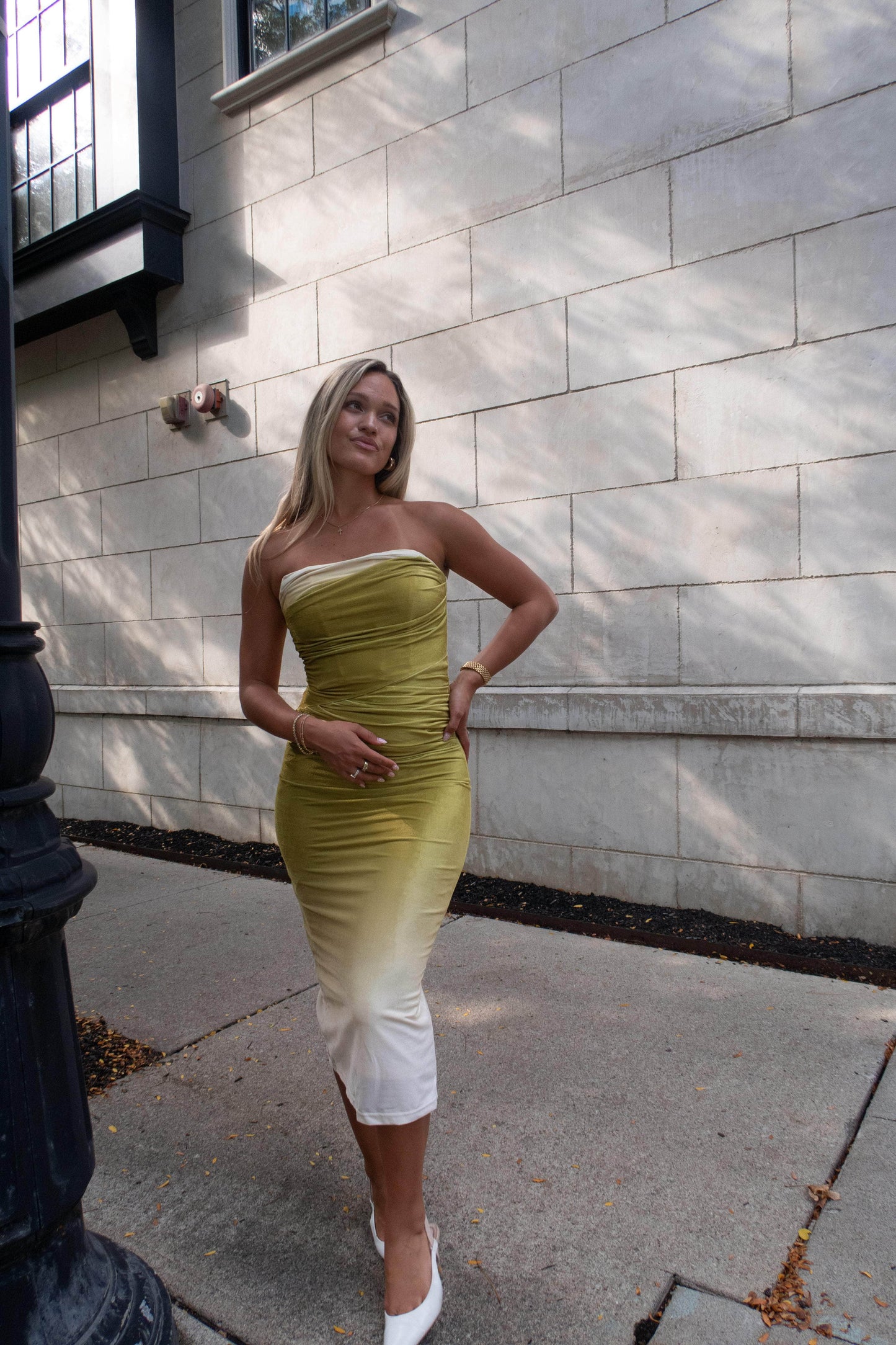 Evening Pour Velvet Dress