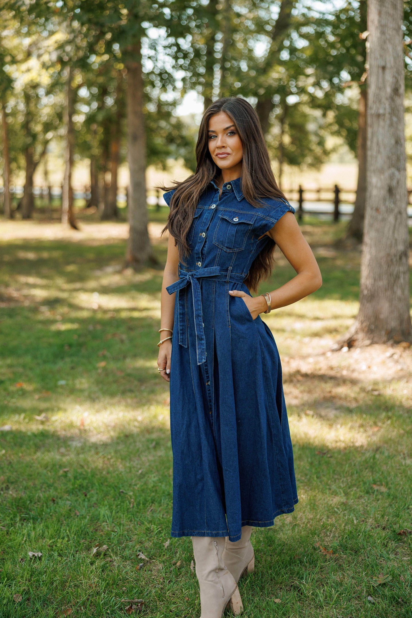 Pre-Order! Denim Days Ahead Dress