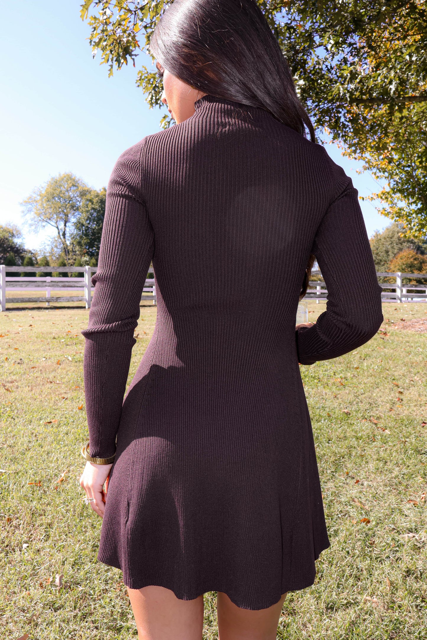 Toasting The Season Dress