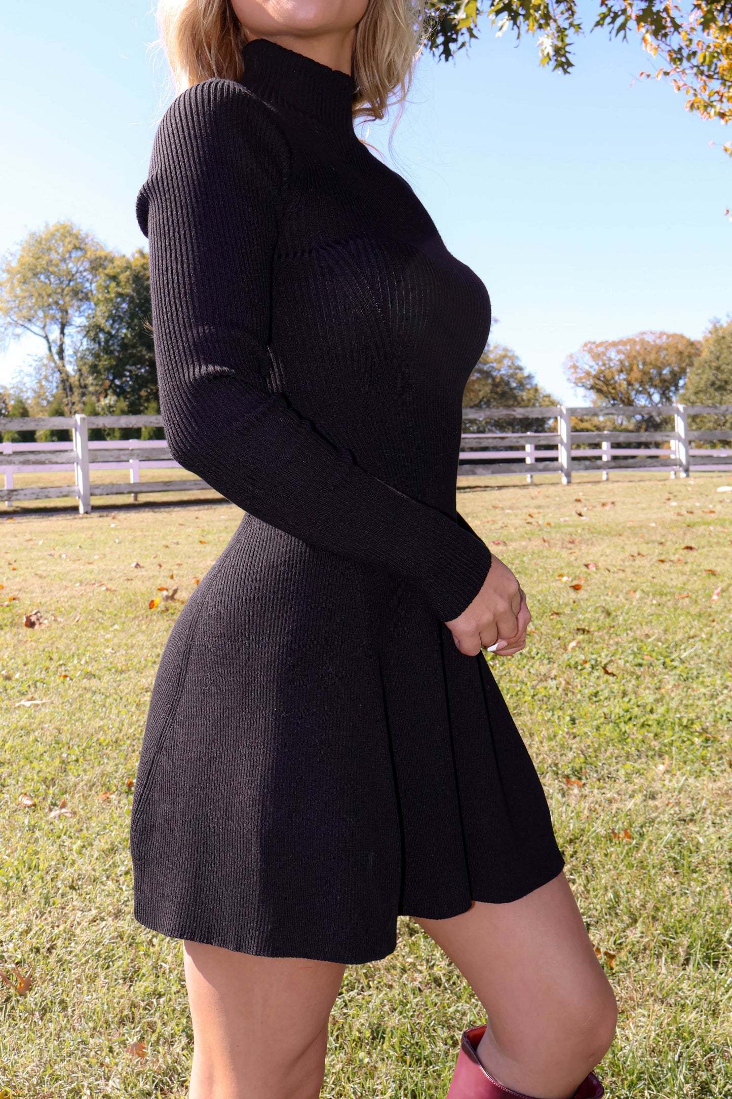 Toasting The Season Dress