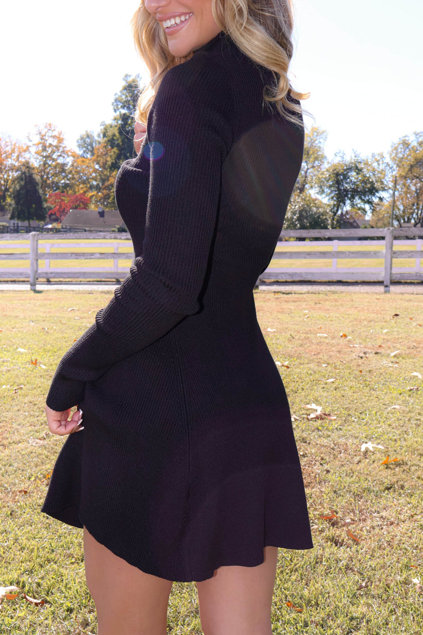 Toasting The Season Dress