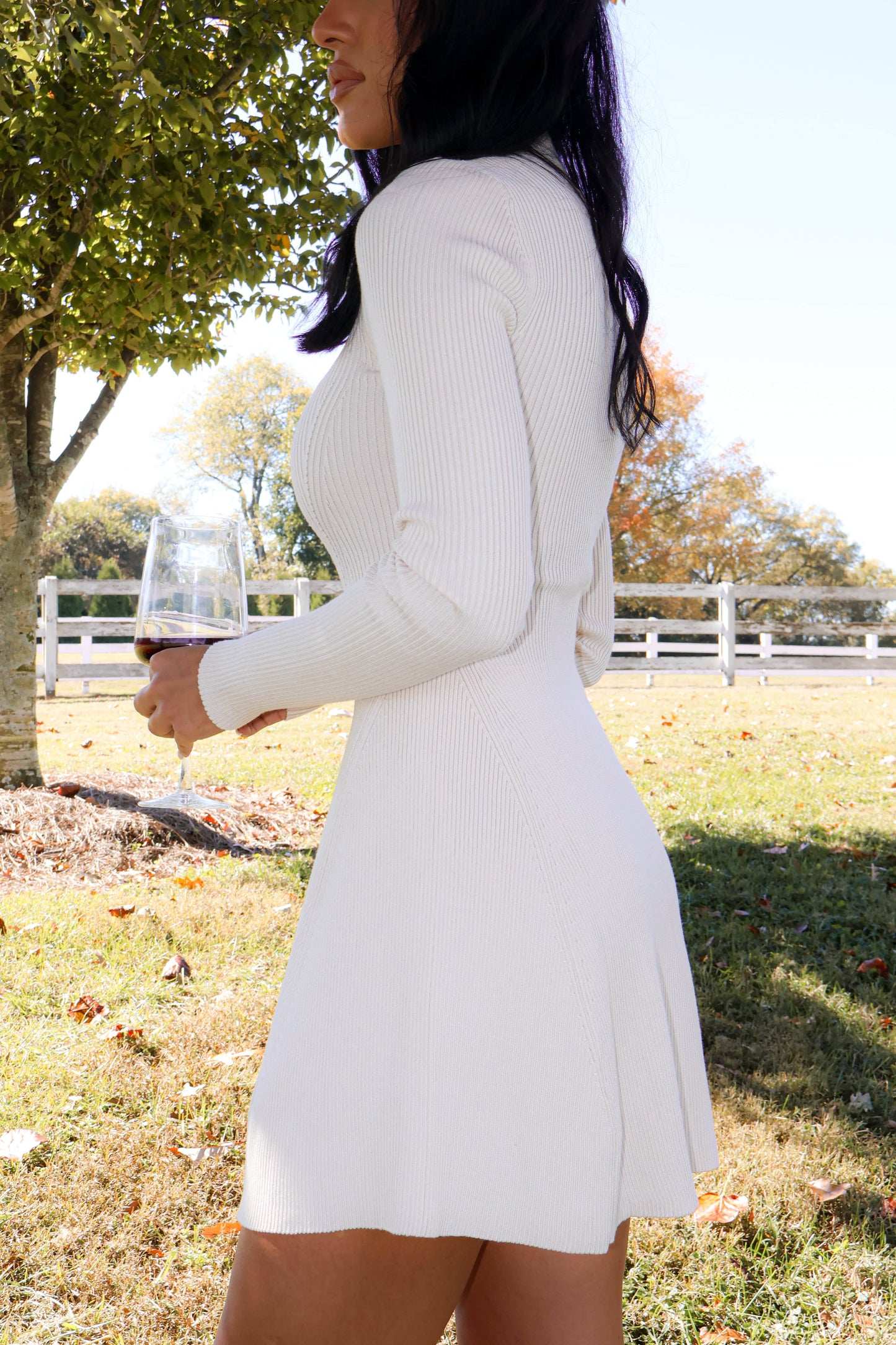 Toasting The Season Dress