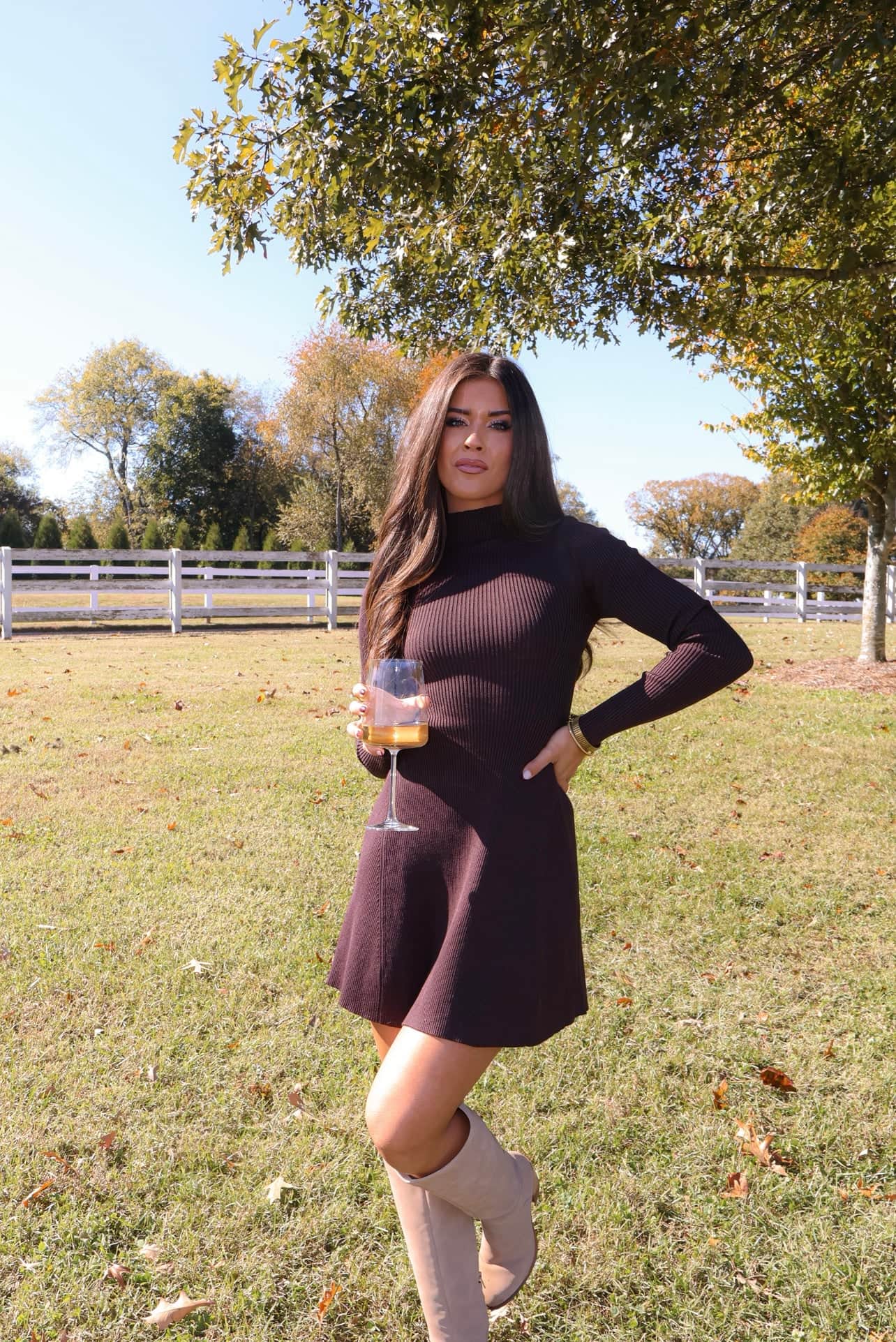 Toasting The Season Dress