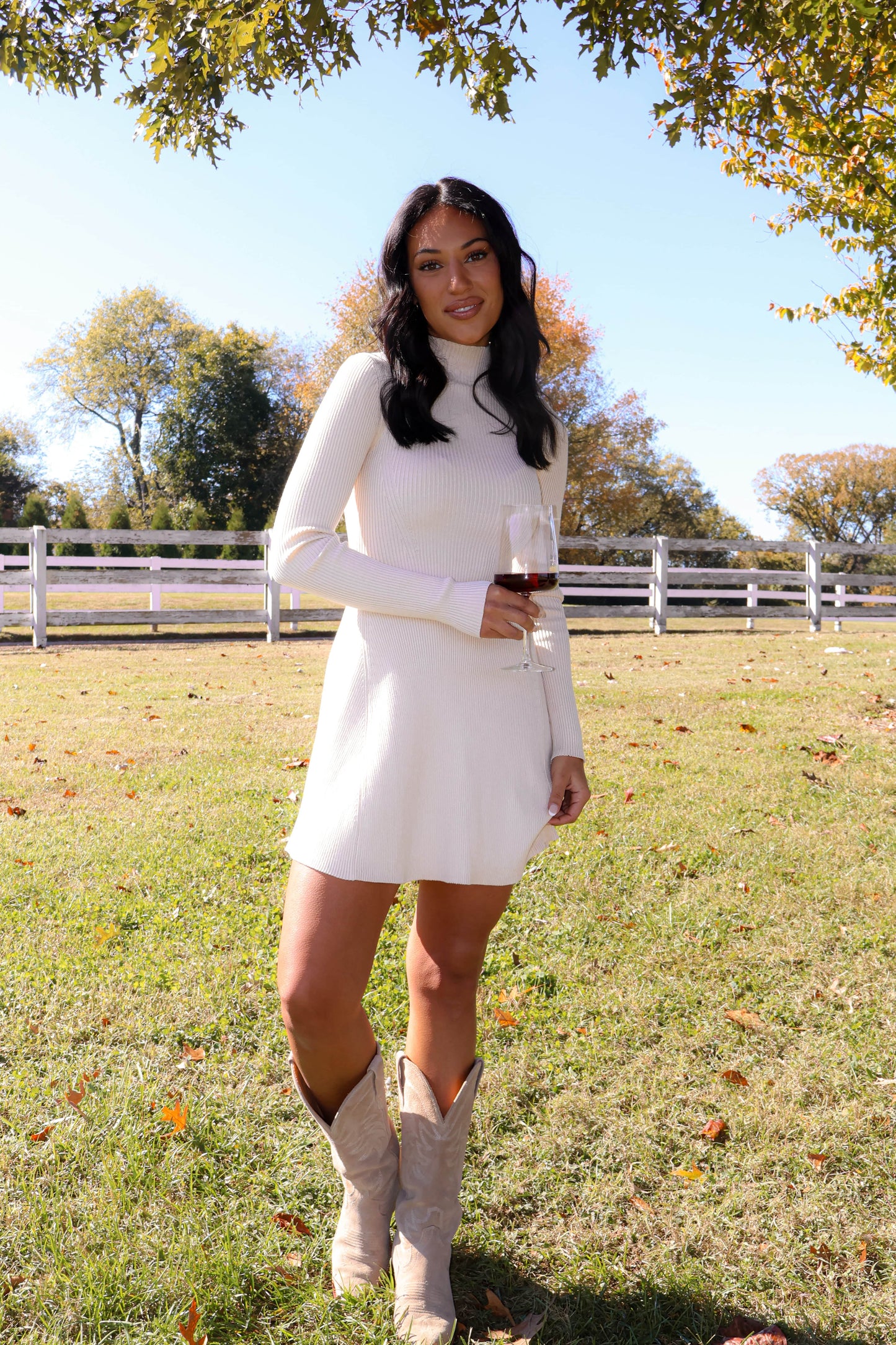 Toasting The Season Dress