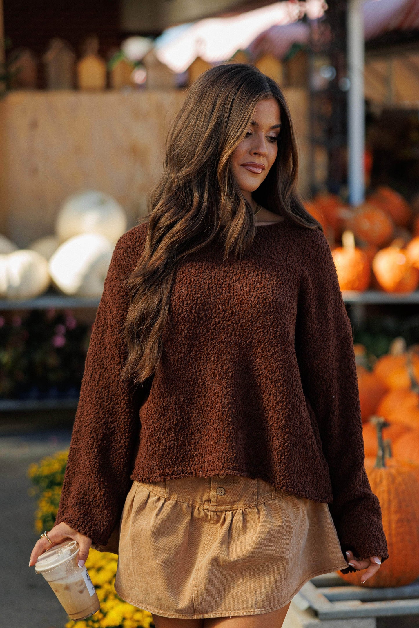 Chestnut Dreams Sweater